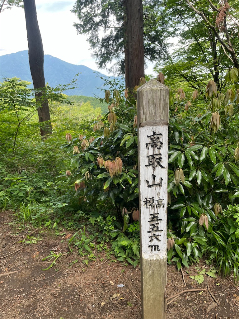 f:id:yukit7s:20250616081738j:image