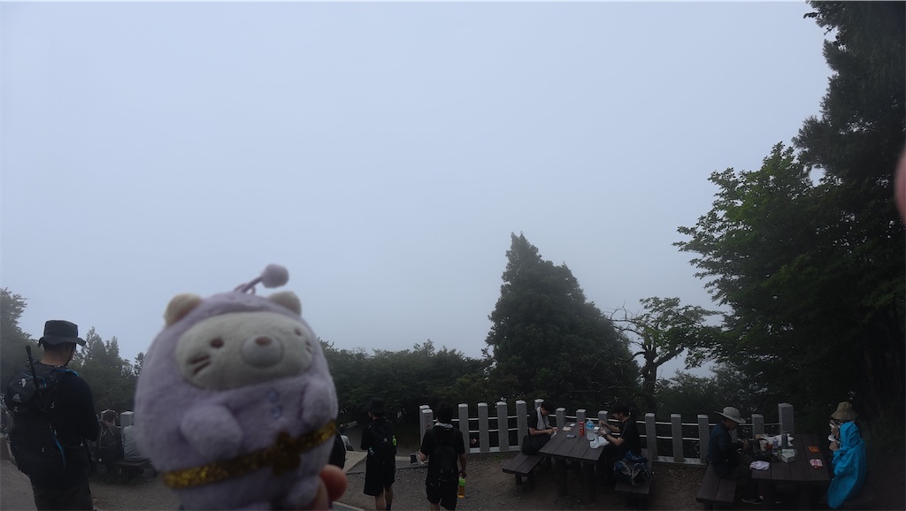 f:id:yukit7s:20250701222245j:image