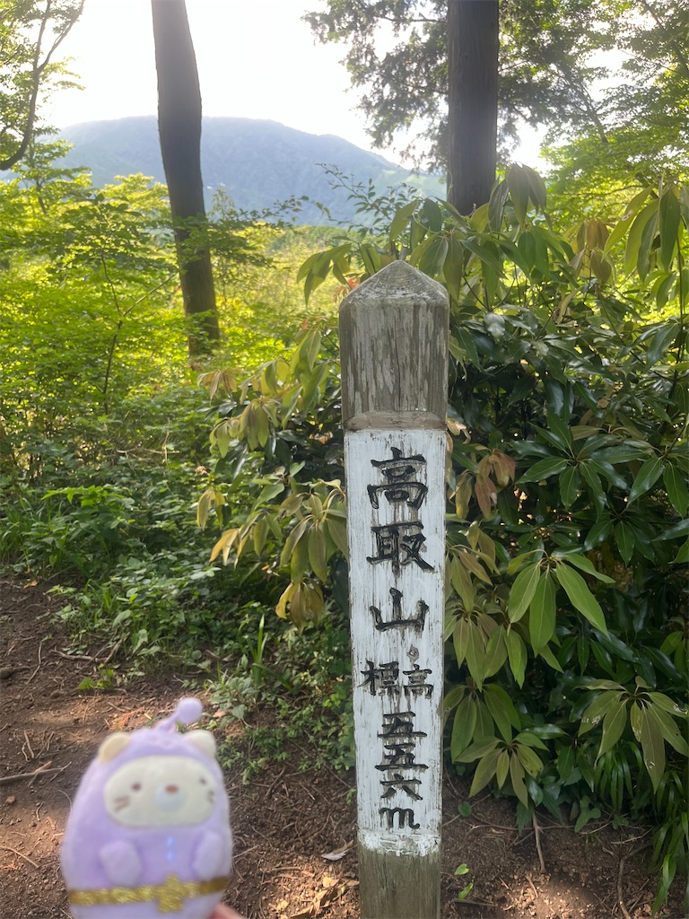 f:id:yukit7s:20250701222300j:image