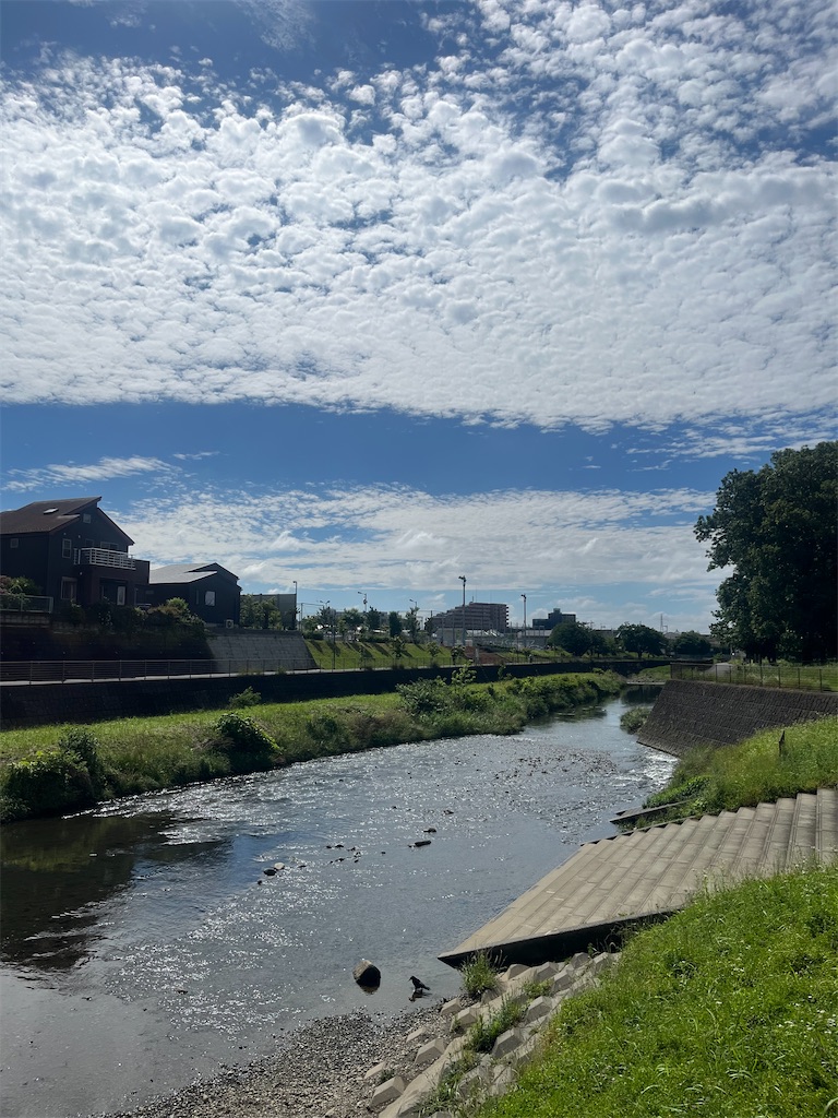 f:id:yukit7s:20250708230039j:image