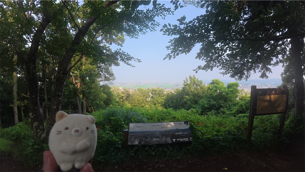 f:id:yukit7s:20250723004913j:image