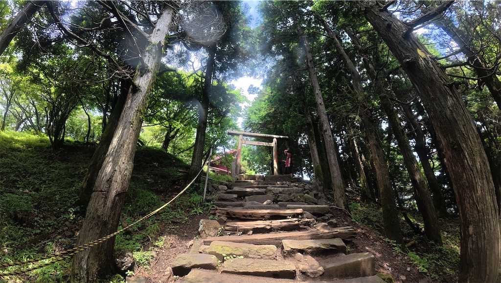 f:id:yukit7s:20250723004929j:image