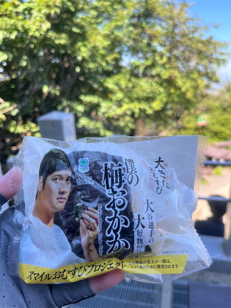 f:id:yukit7s:20250731232303j:image