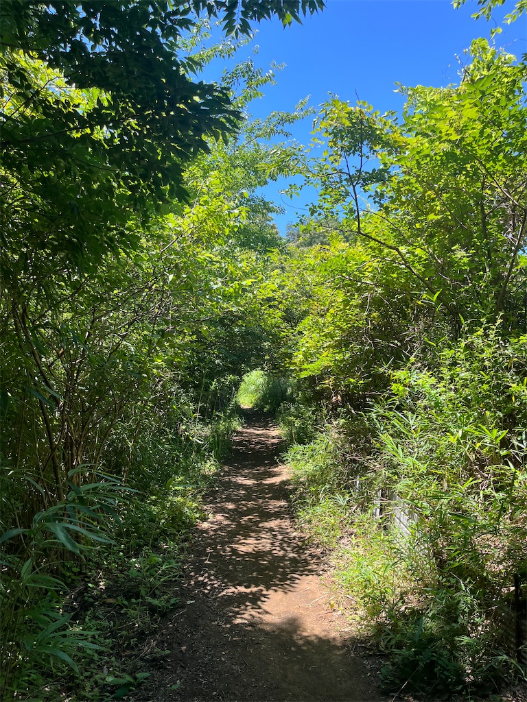 f:id:yukit7s:20250731232325j:image