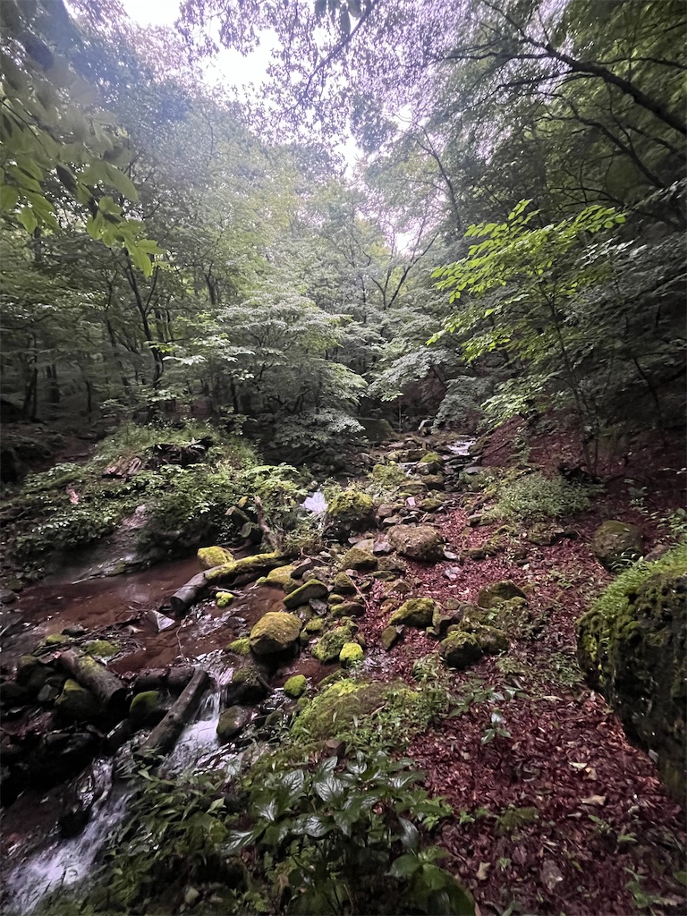 f:id:yukit7s:20250815174749j:image