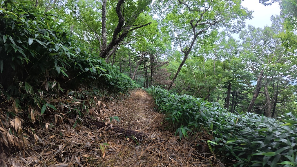 f:id:yukit7s:20250815174752j:image