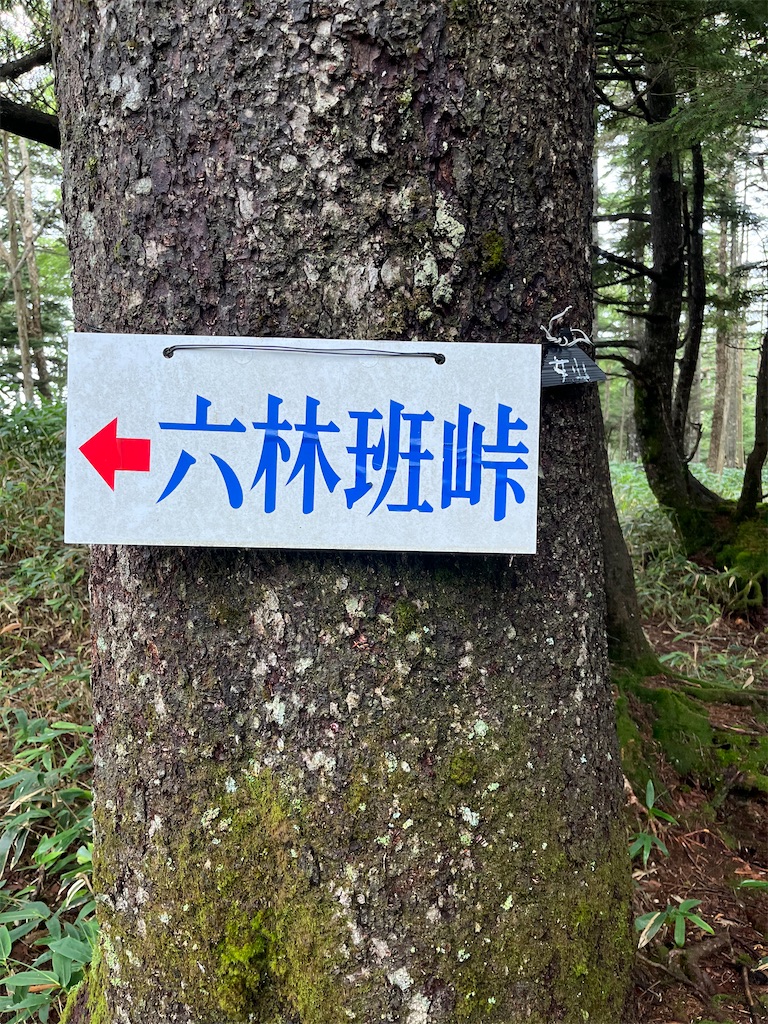 f:id:yukit7s:20250815174814j:image