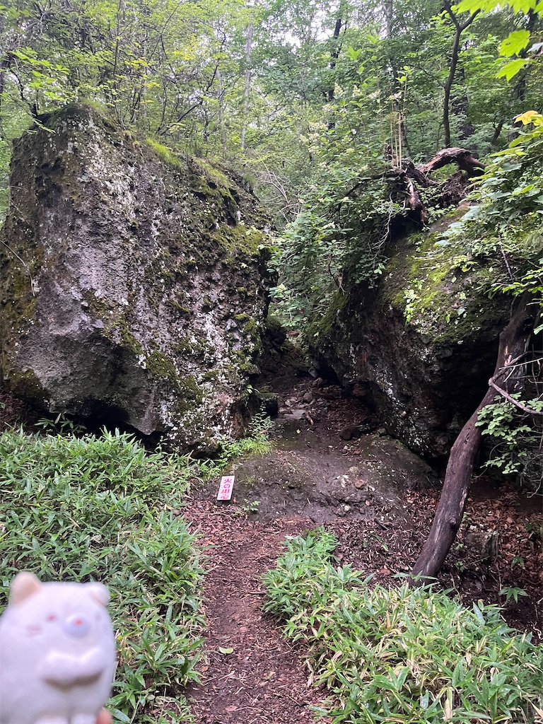 f:id:yukit7s:20250815174824j:image