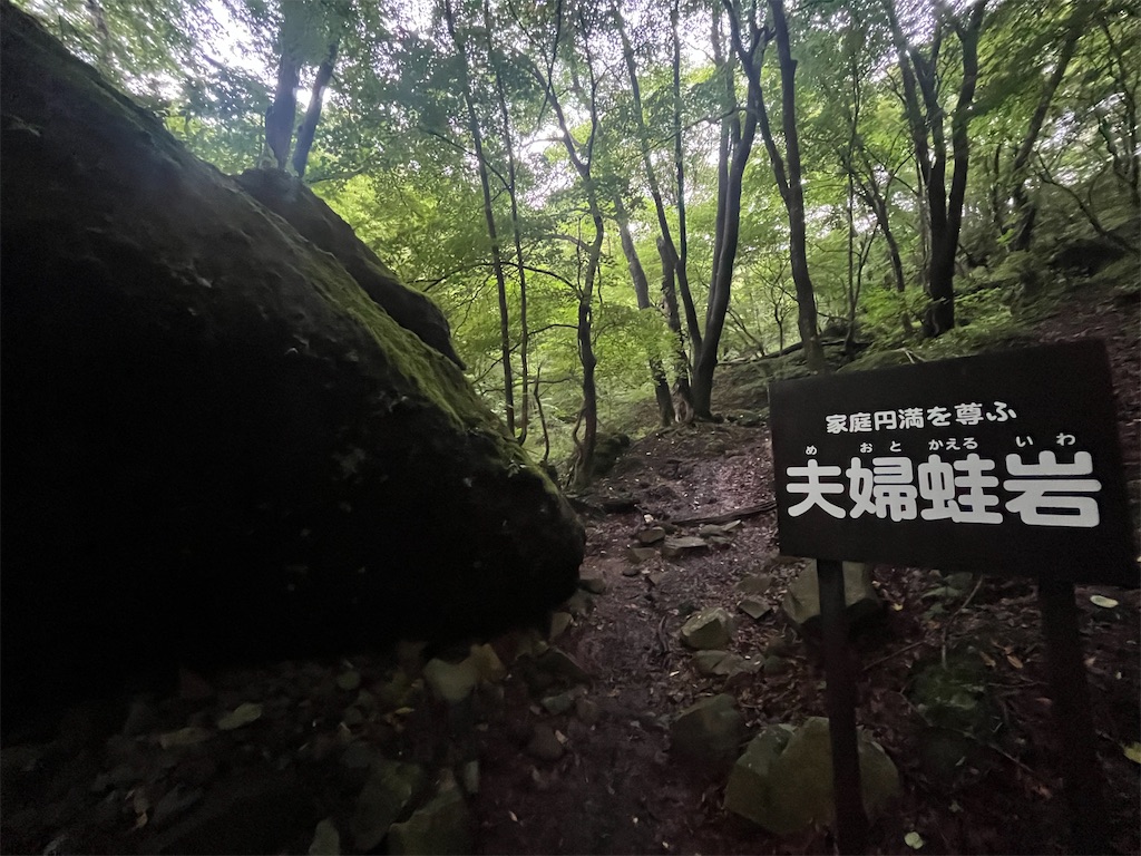 f:id:yukit7s:20250815174831j:image