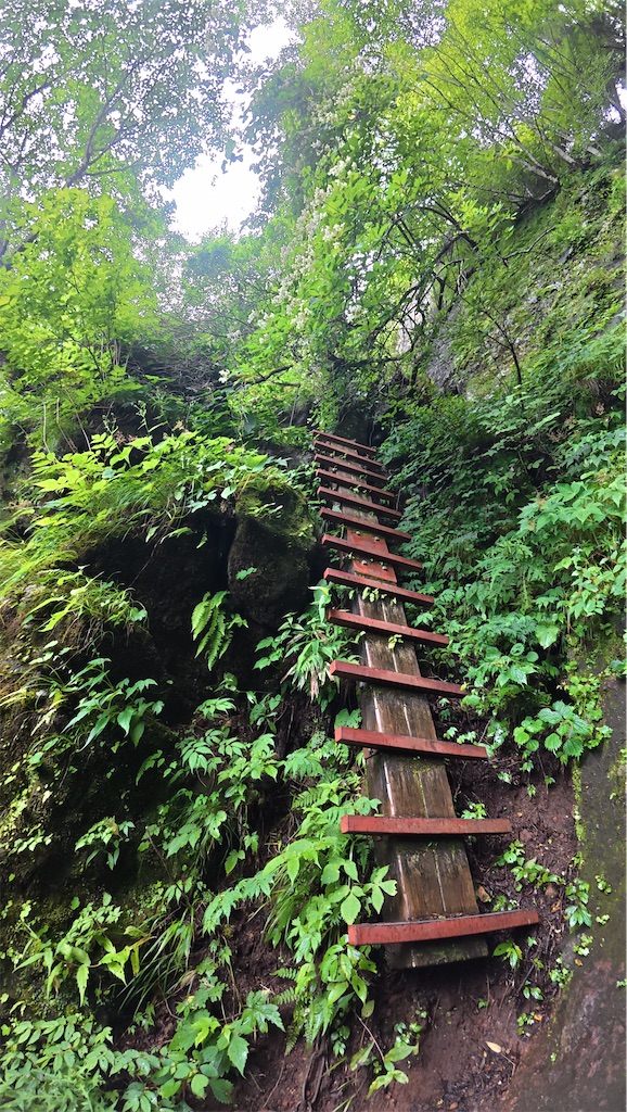 f:id:yukit7s:20250815174834j:image