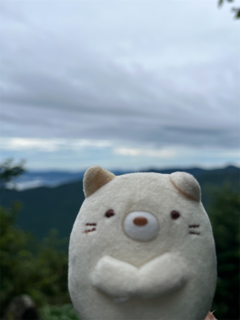 f:id:yukit7s:20250815174844j:image