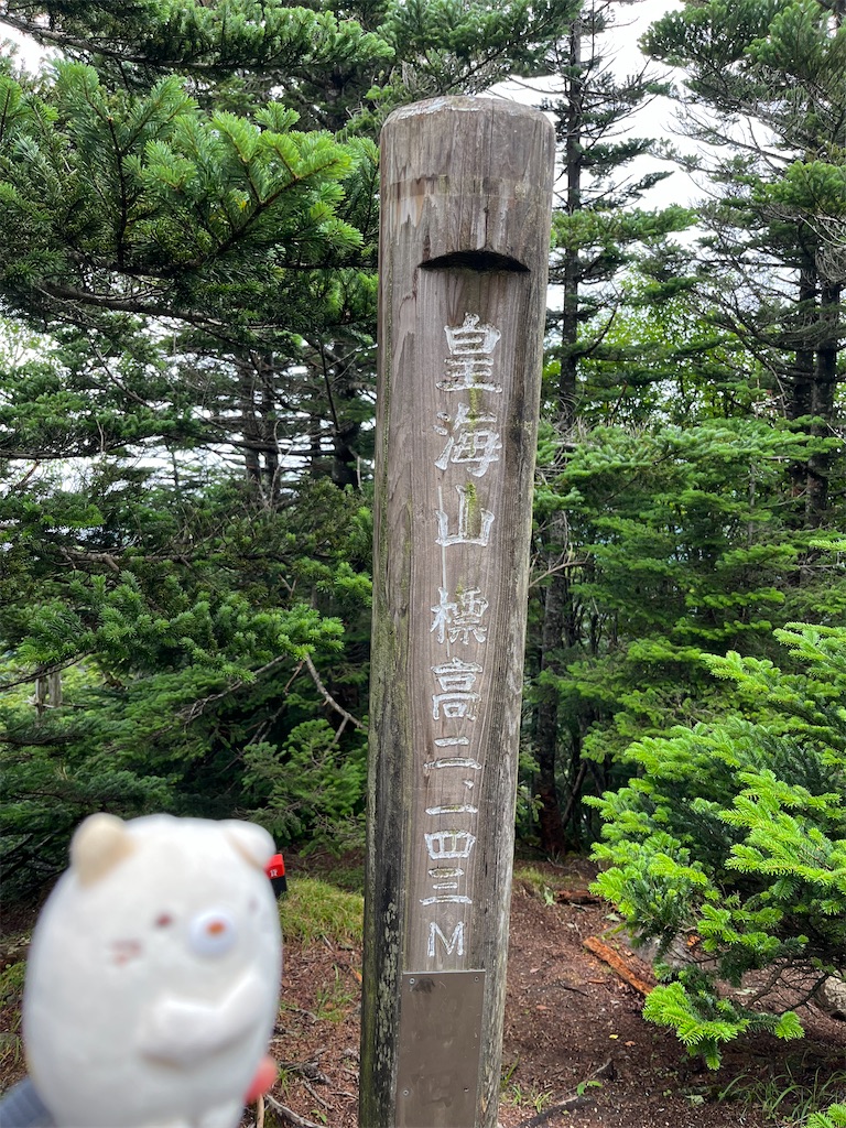 f:id:yukit7s:20250815175656j:image