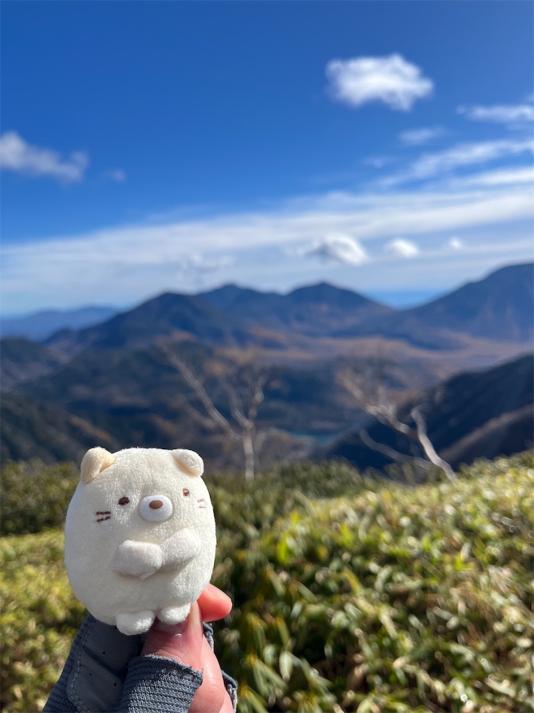 f:id:yukit7s:20251114085938j:image