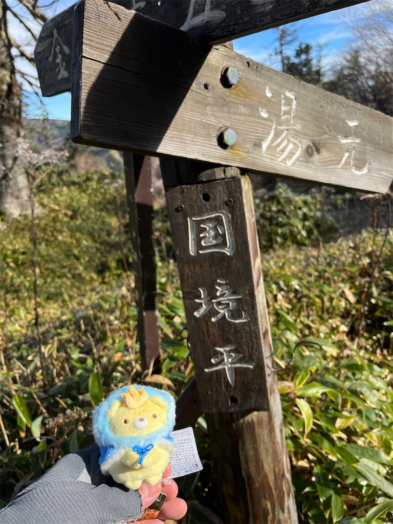 f:id:yukit7s:20251114085941j:image