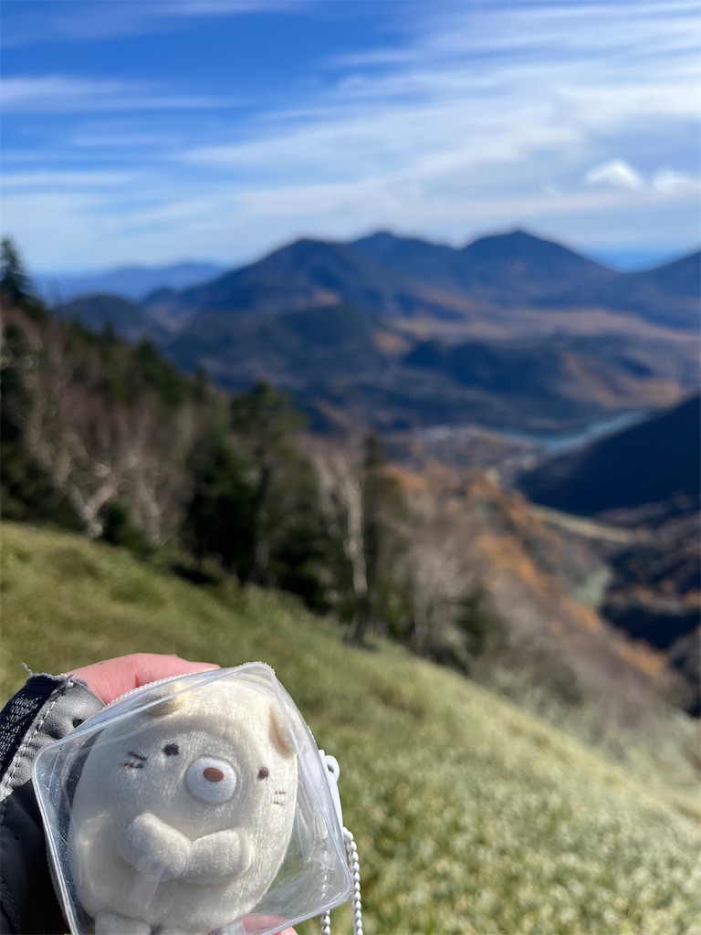 f:id:yukit7s:20251114085944j:image