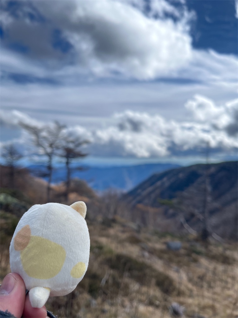 f:id:yukit7s:20251114090104j:image