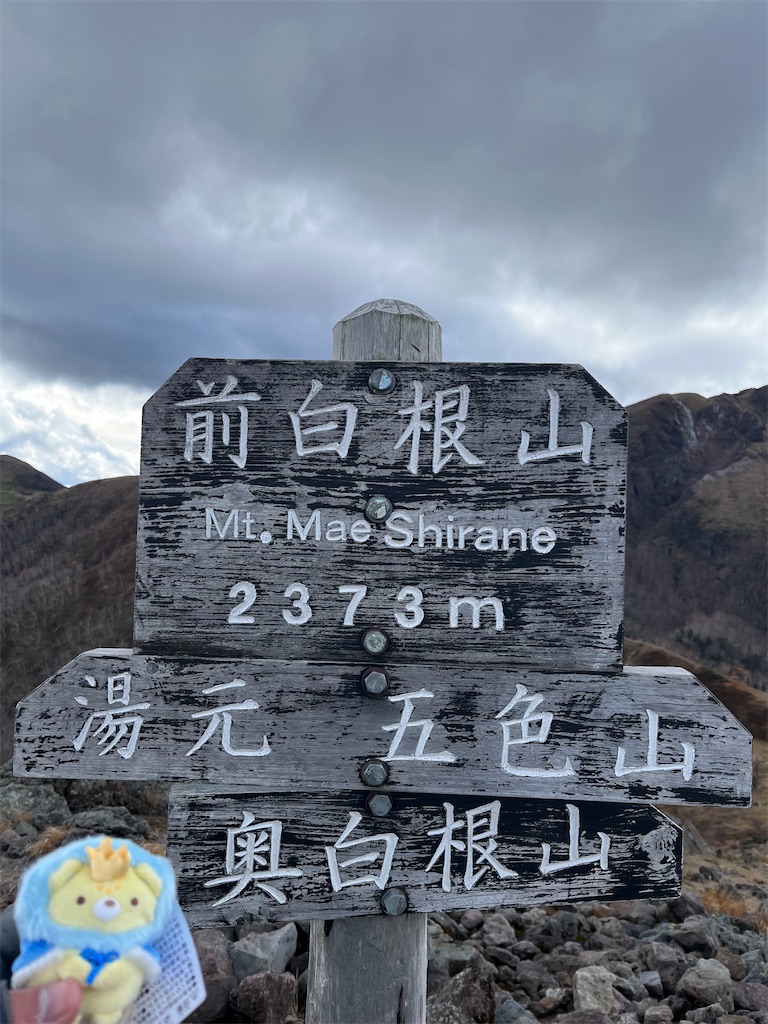 f:id:yukit7s:20251114090107j:image