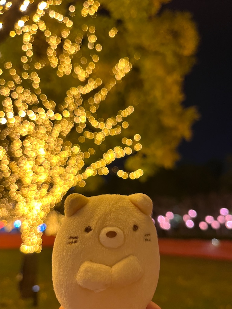 f:id:yukit7s:20251130142805j:image