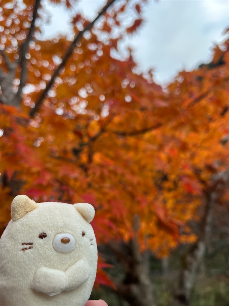 f:id:yukit7s:20251221203636j:image