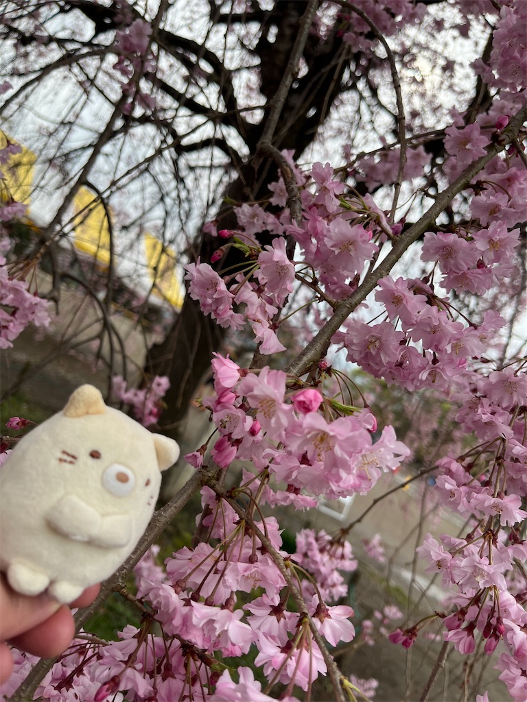 f:id:yukit7s:20260412222434j:image