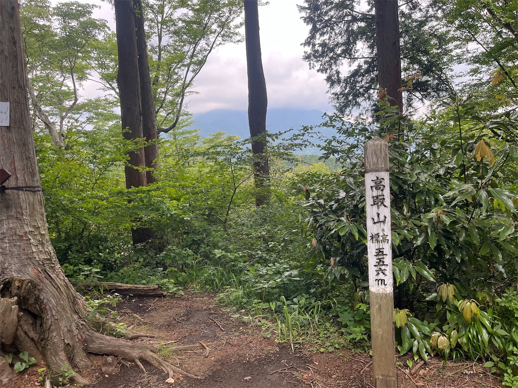 f:id:yukit7s:20260620115501j:image