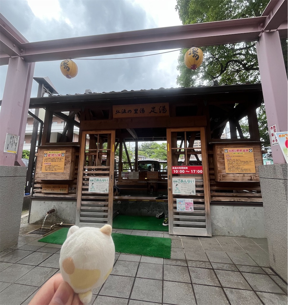 f:id:yukit7s:20260620115518j:image
