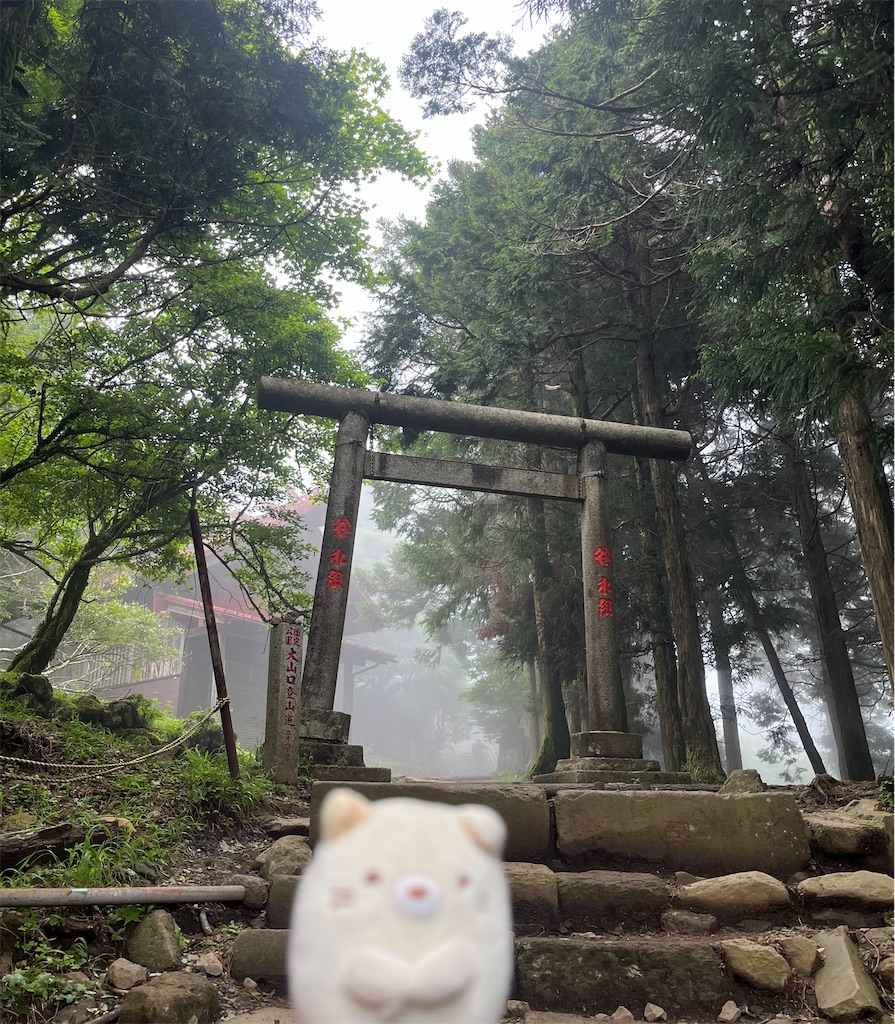 f:id:yukit7s:20260620115522j:image