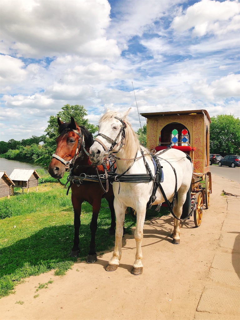 f:id:yukitabi2018:20180531183956j:image