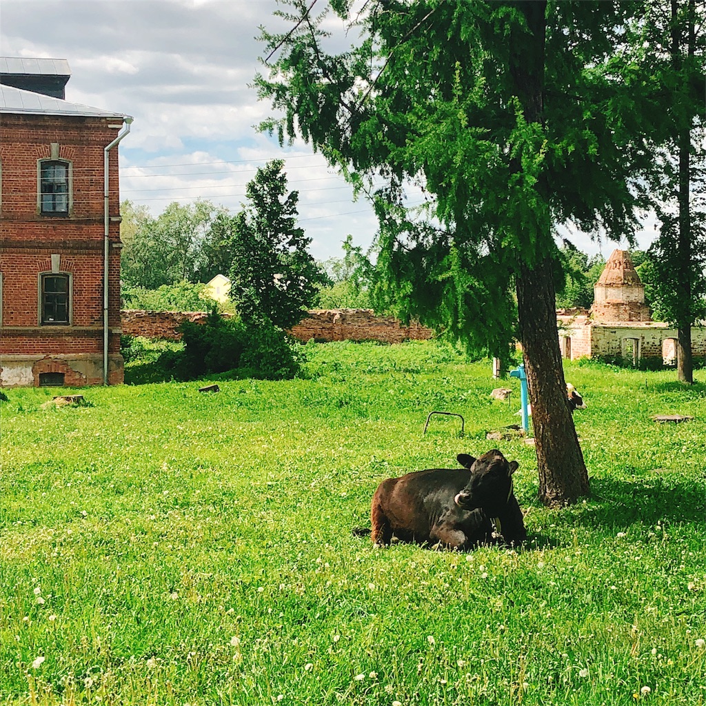 f:id:yukitabi2018:20180531184005j:image