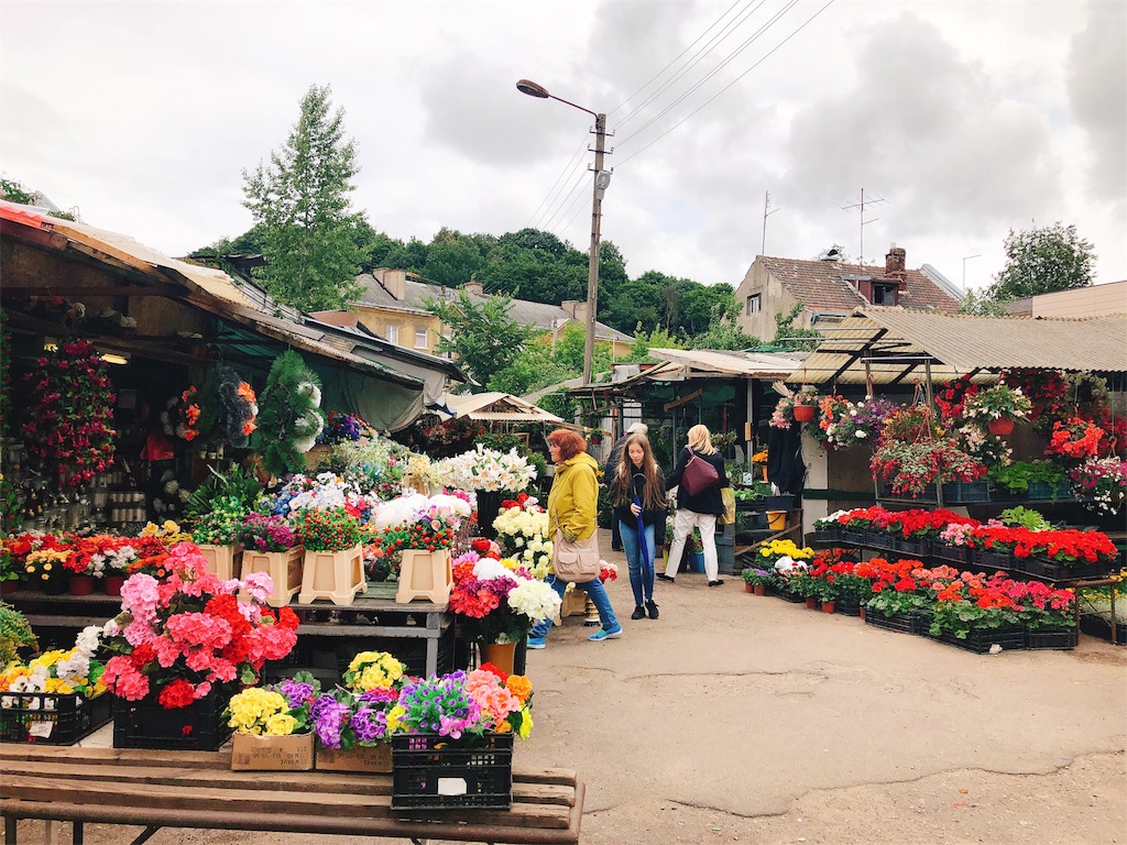 f:id:yukitabi2018:20180709002427j:image