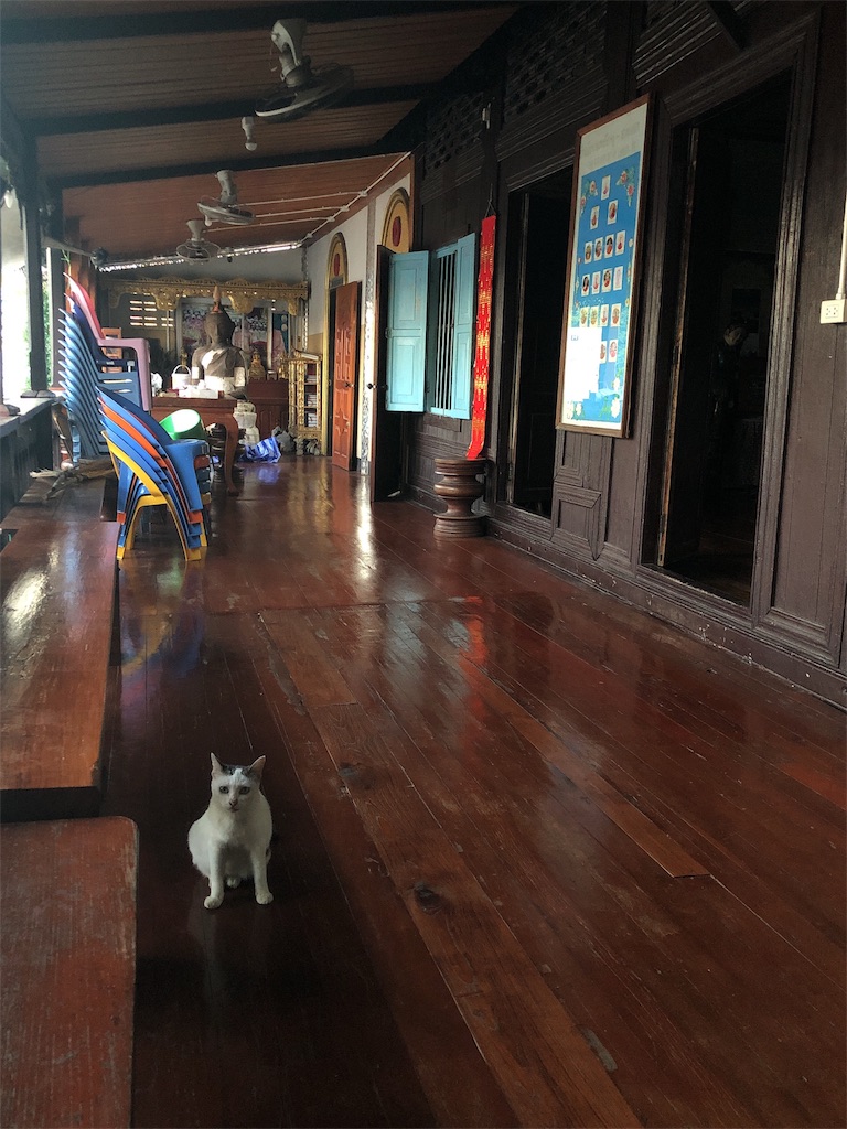 f:id:yukitabi2018:20181119142527j:image