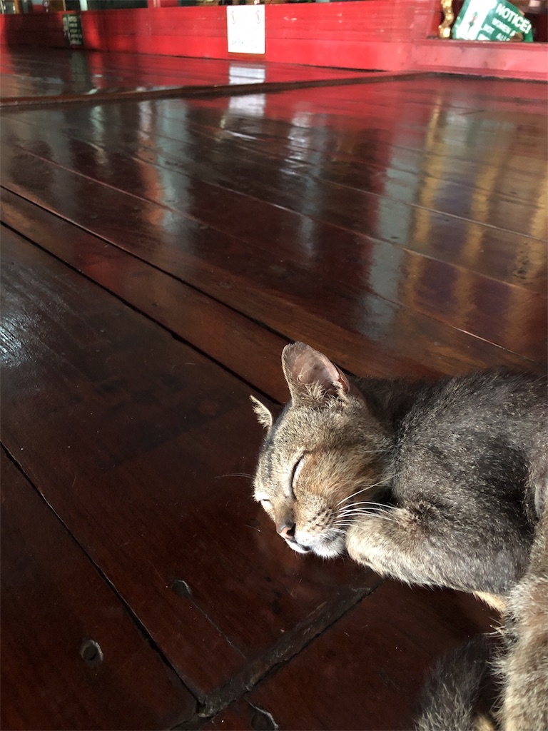 f:id:yukitabi2018:20181119142731j:image