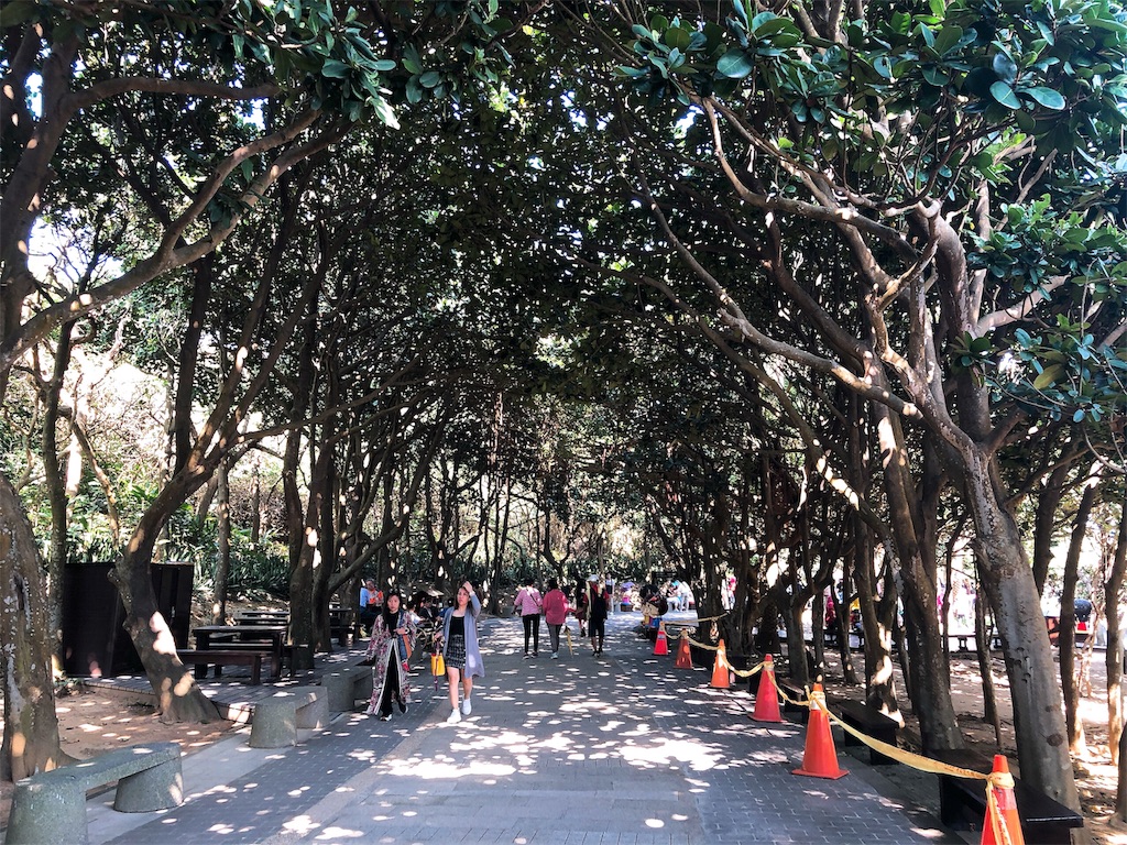 f:id:yukitabi2018:20191112004941j:image