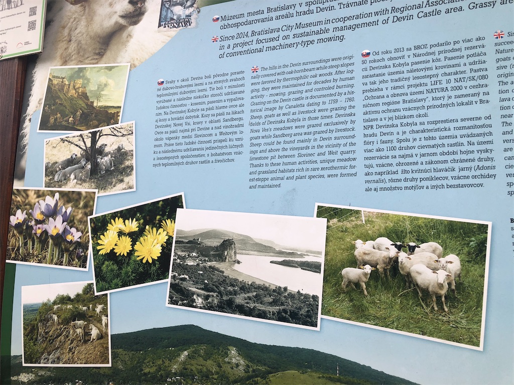 f:id:yukitabi2018:20221014031612j:image