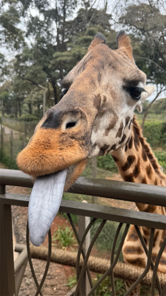 f:id:yukitabi2018:20250809043750j:image