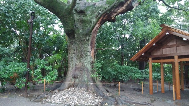 f:id:yukitono:20171022222313j:image f:id:yukitono:20171022222313j:image