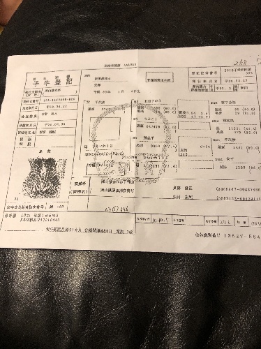f:id:yukityannopapa:20200713094856j:plain f:id:yukityannopapa:20200713094856j:plain