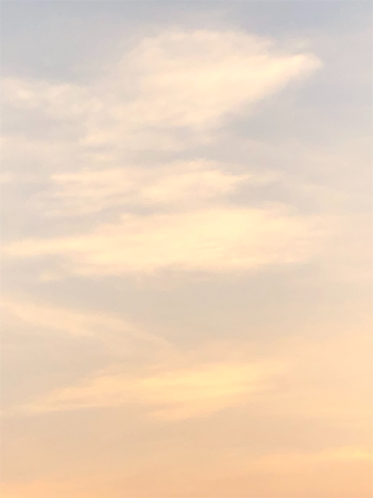 f:id:yukityannopapa:20200820084818j:image