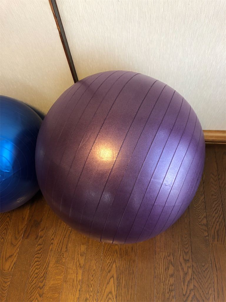 f:id:yukityannopapa:20200904101657j:image