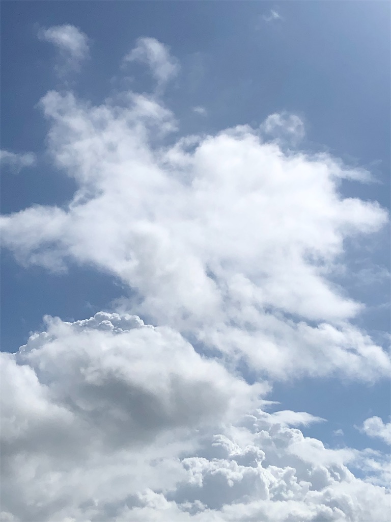 f:id:yukityannopapa:20200904101839j:plain