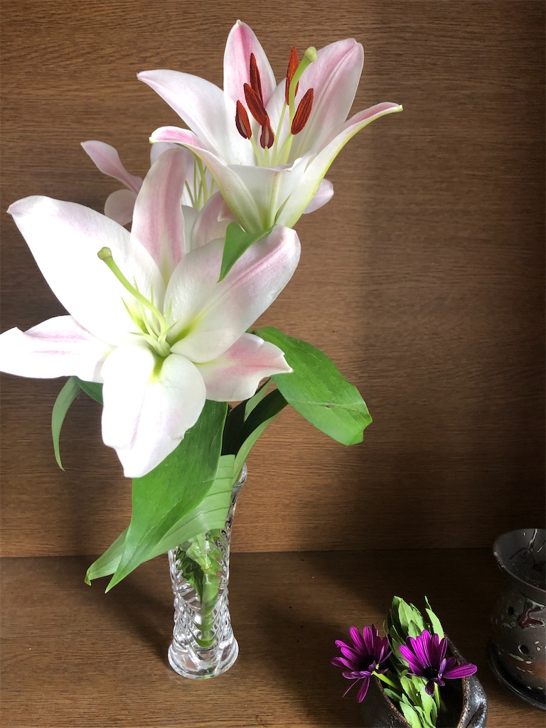 f:id:yukityannopapa:20200914150811j:image f:id:yukityannopapa:20200914150811j:image