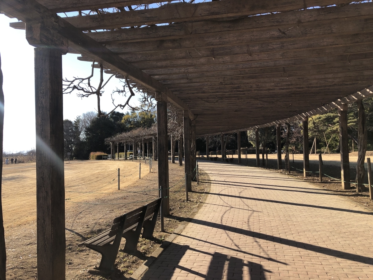 f:id:yukityannopapa:20220105180726j:plain