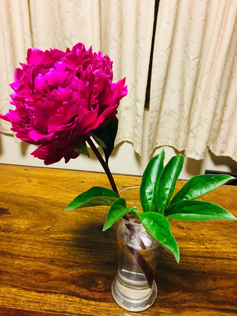 f:id:yukiukix:20190613164152j:plain f:id:yukiukix:20190613164152j:plain