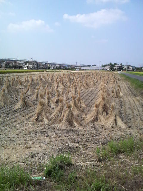 f:id:yukiusagi-home:20190708115708j:plain f:id:yukiusagi-home:20190708115708j:plain