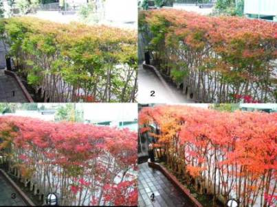 f:id:yukiusagi-home:20190911000017j:plain f:id:yukiusagi-home:20190911000017j:plain