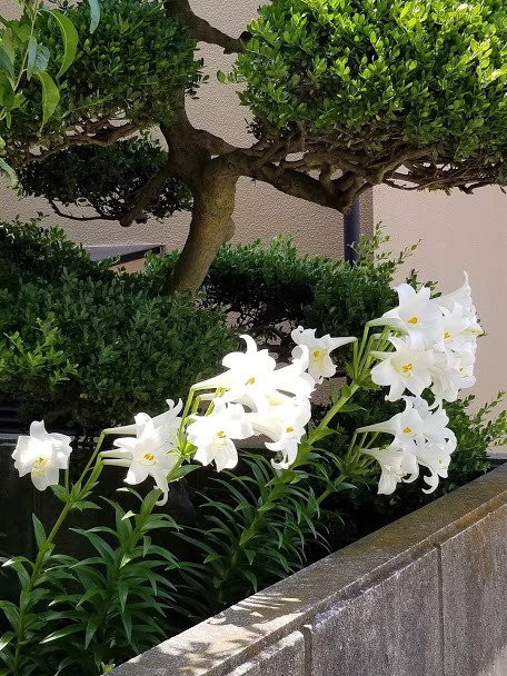 f:id:yukiusagi-home:20190911132912j:plain
