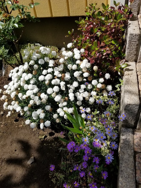 f:id:yukiusagi-home:20190911134737j:plain