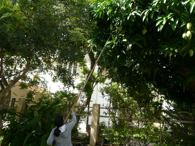 f:id:yukiusagi-home:20200421230856j:plain