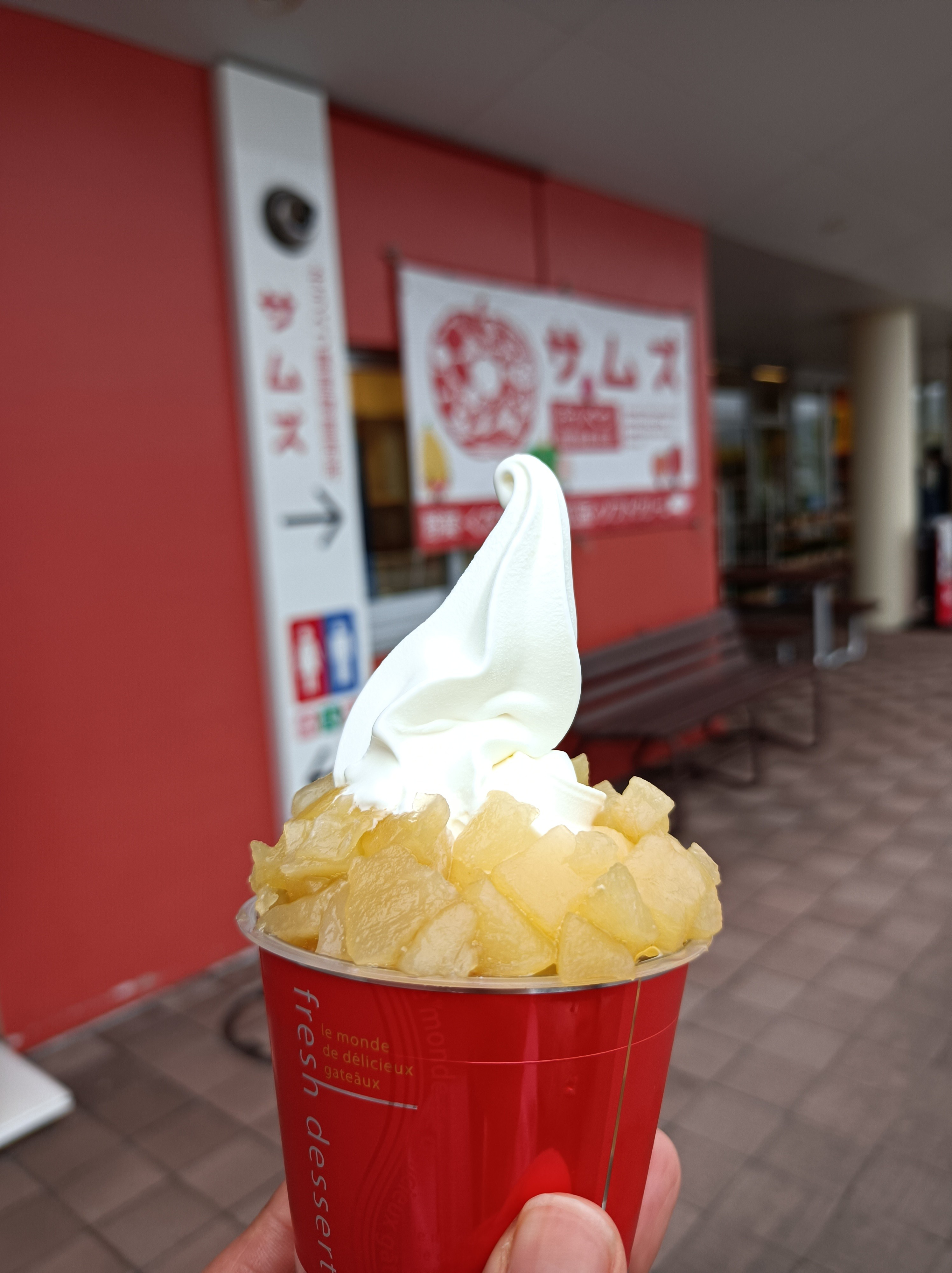 f:id:yukiusagi946:20210713224501j:plain
