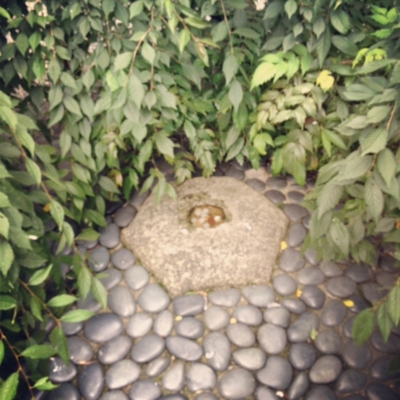 f:id:yukix03:20120707205345j:image